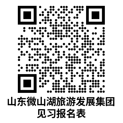 山東微山微山湖旅游發(fā)展集團有限公司招聘見習人員公告