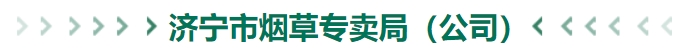 2024年山東省煙草專賣局（公司）高校畢業(yè)生招聘公告（202